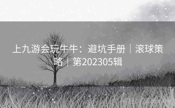 上九游会玩牛牛：避坑手册｜滚球策略｜第202305辑  第2张