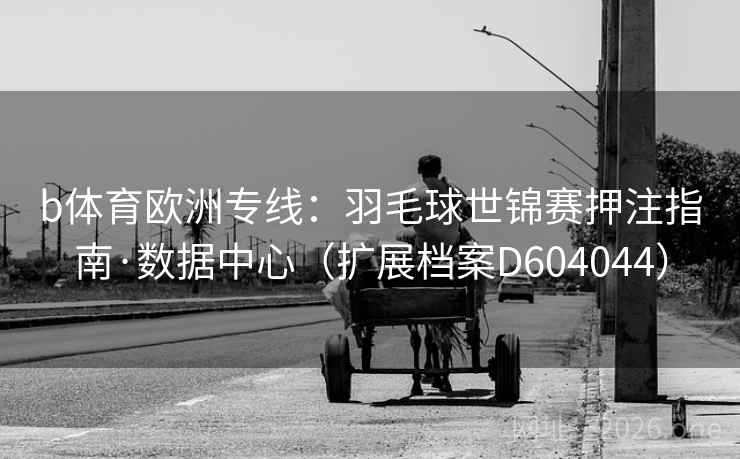 b体育欧洲专线：羽毛球世锦赛押注指南·数据中心（扩展档案D604044）  第2张