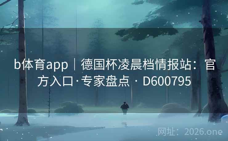 b体育app｜德国杯凌晨档情报站：官方入口·专家盘点 · D600795